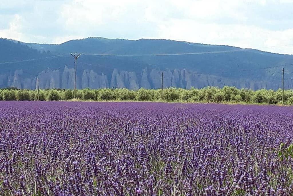 Le Gite Du Jas Vieux Montfort  Buitenkant foto